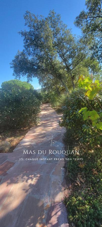Le Mas Du Rouquan Vidauban Εξωτερικό φωτογραφία