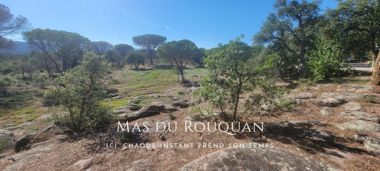 Le Mas Du Rouquan Vidauban Εξωτερικό φωτογραφία
