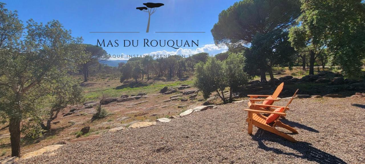 Le Mas Du Rouquan Vidauban Εξωτερικό φωτογραφία