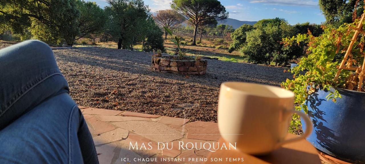 Le Mas Du Rouquan Vidauban Εξωτερικό φωτογραφία