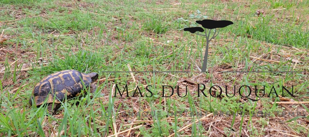 Le Mas Du Rouquan Vidauban Εξωτερικό φωτογραφία